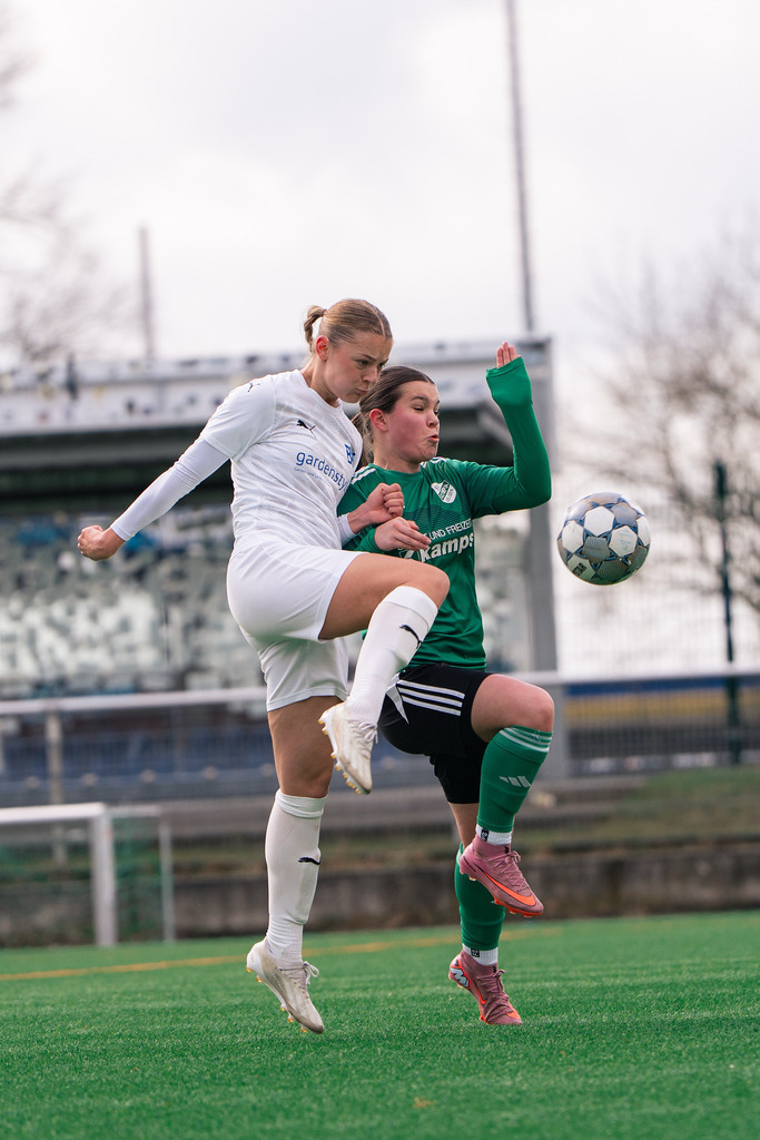 Fußball I Frauen I Saison 2025-2026 I Landesliga Weser-Ems I 13. Spieltag I BW Lohne - SV Olympia Uelsen I 9197 | jns.sportfotos - Realisiert mit Pictrs.com