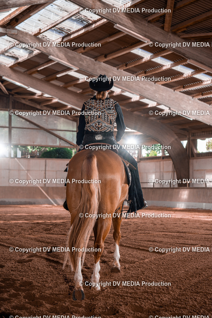 NE100357 | dv-media-shop - Realisiert mit Pictrs.com