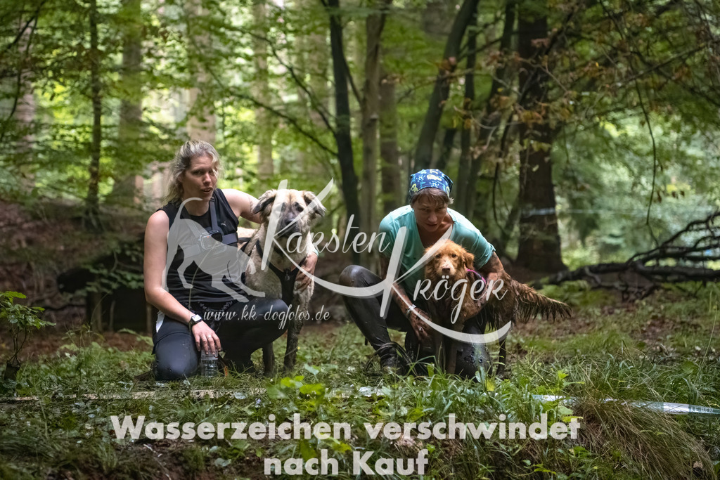 1208_ZZ90828-Bearbeitet | kk-dogfotos