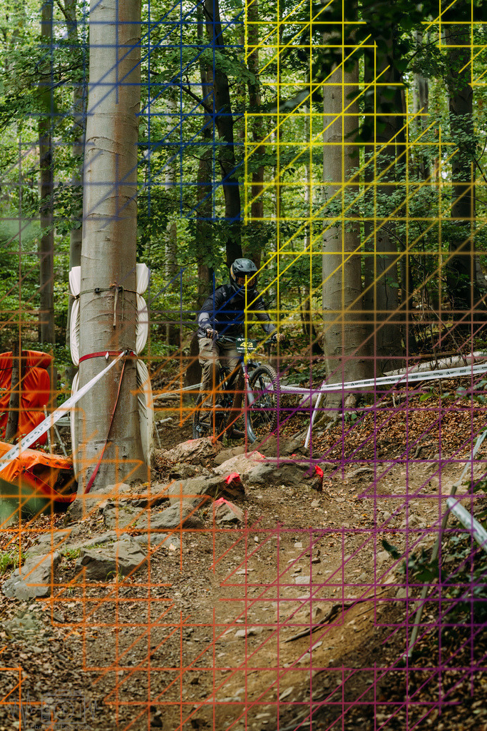 PAE-2187 | Einzigartige Fotokunst für dein Zuhause: Entdecke hochwertige Wandbilder, edle Prints und emotionale Motive von Wildlife, Natur und Landschaften - Realisiert mit Pictrs.com