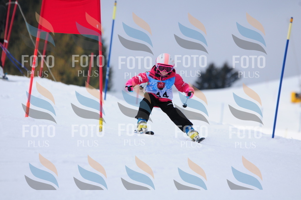 A3530 | holidayphoto