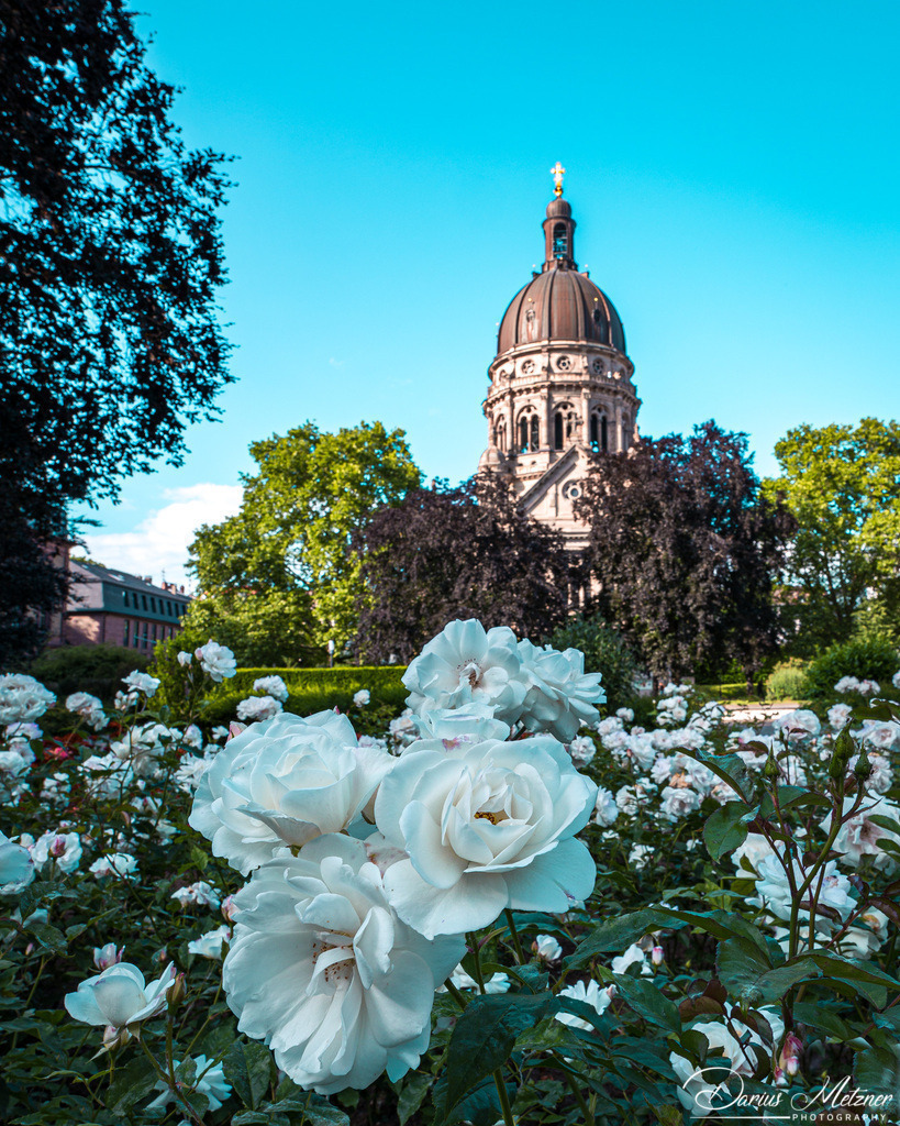 Die Christuskirche in Mainz | Die Evangelische Christuskirche an der Kaiserstrasse in Mainz