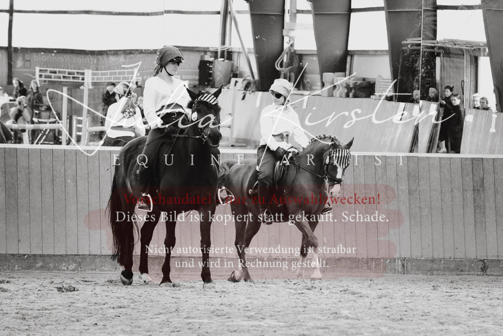 DSC_7134 | Pferde- und Turnierfotografie in Westsachsen. Pferdeportraits, Auftragszeichnungen und intuitive Kunst.