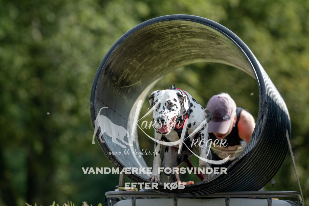 0932_ZZ90575 | kk-dogfotos