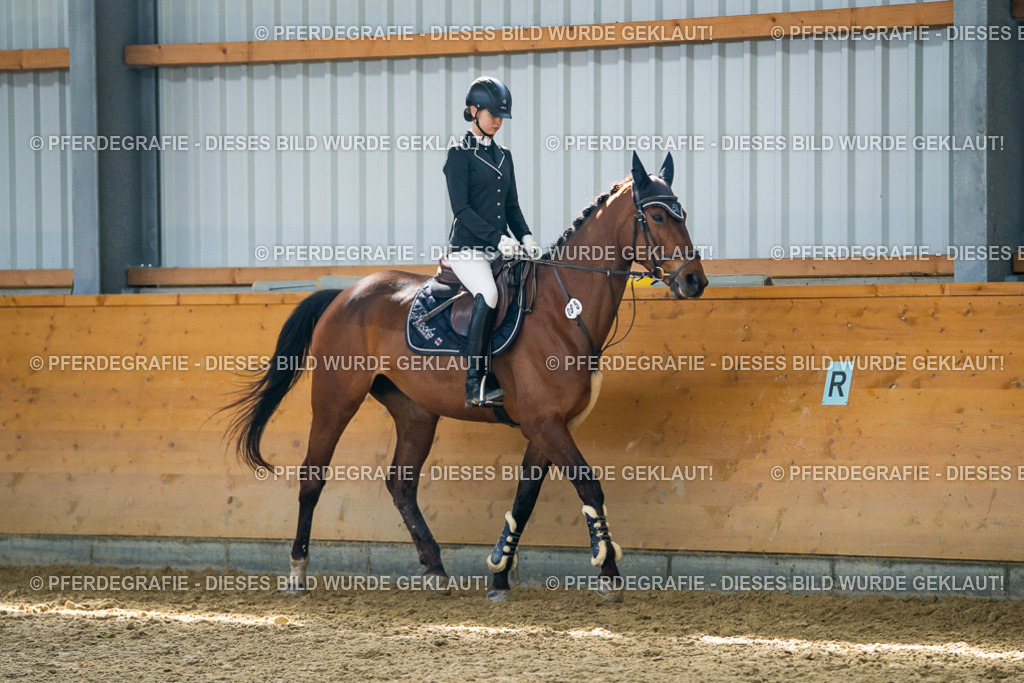 DSC01710 | Pferdegrafie