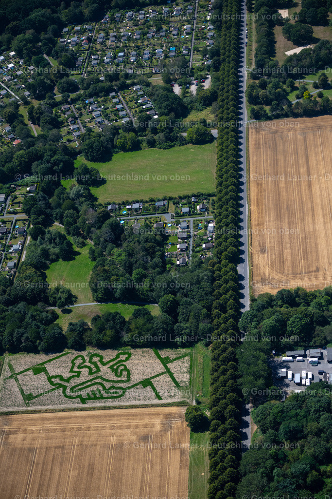 4036027 | Das Löwen-Labyrinth im Westpark am Ackerrand wirdseit 2019 angepflanzt und besteht aus Elefantengras, das bis zu 4 Meter hoch werden kann