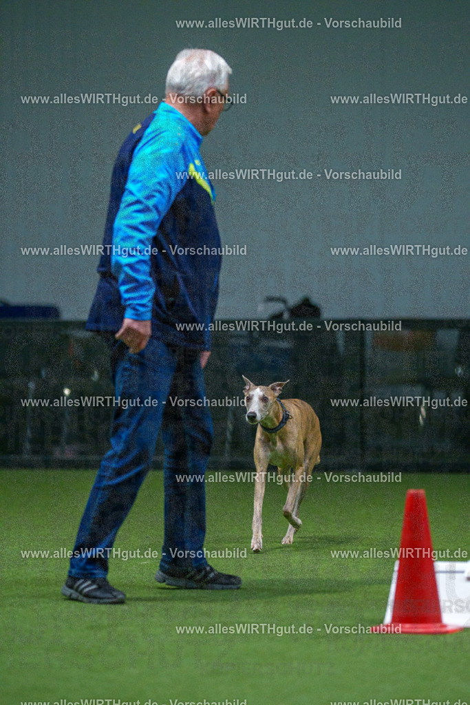 7R500344 | Professionelle Tierfotografie in Mönchengladbach von Daniel Wirth (allesWIRTHgut). Liebevolle & natürliche Bilder von Hunden & Katzen für unvergessliche Erinnerungen.