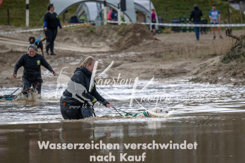 1127_ZZ93564 | kk-dogfotos