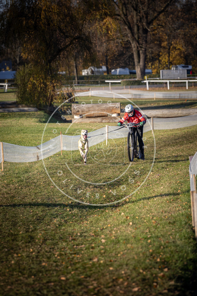 CaniXpix_DV3A1904 | Hundefotografie, Tierfotograf, Pfotenfotografie, Fotoshooting Hund, Hunde Portrait, Hundesport, Hundeportraits, Heideshooting, Hunde, Sportfotograf, Hundefotograf, Turnierhundsport, THS,  - Realisiert mit Pictrs.com