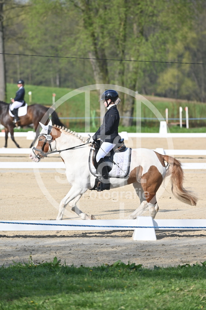 DSC_0057 | sattelsport - Realisiert mit Pictrs.com