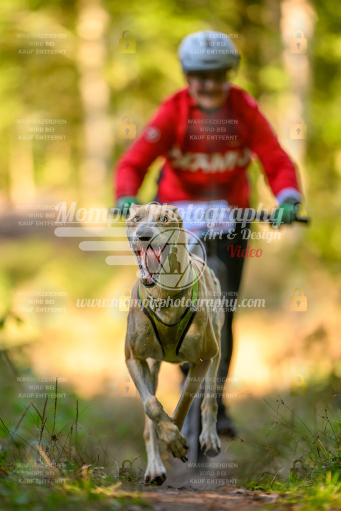 MompixPhotography_Yens2025_B3-135 | PayLife
