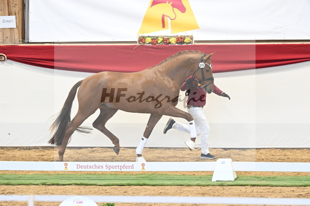 Kat.-Nr. 45 v. Escanto PS_De Vittorio und Stechele_3260369 | hf-fotografie - Realizzato con Pictrs.com