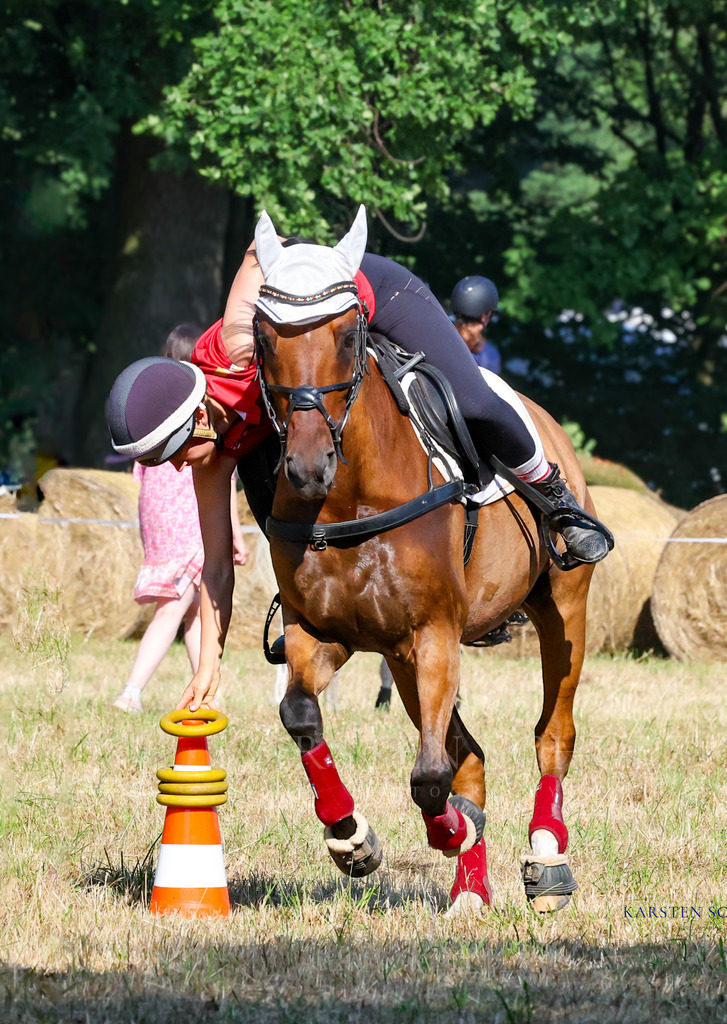 1B3A8308 | Reitsport Reiten