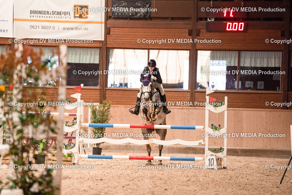 Springen Tag 3-059 | dv-media-shop - Realisiert mit Pictrs.com