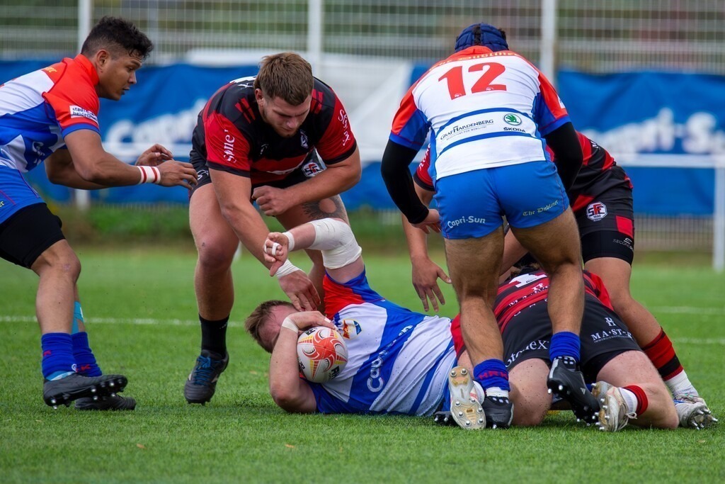 05.10..2024, Rugby 1. Bundesliga Süd/West, Saison 2024/25, 4. Spieltag: Heidelberger Ruderklub 1872 gegen SC Frankfurt 1880 | 05.10..2024, Rugby 1. Bundesliga Süd/West, Saison 2024/25, 4. Spieltag: Heidelberger Ruderklub 1872 gegen SC Frankfurt 1880 - Realisiert mit Pictrs.com