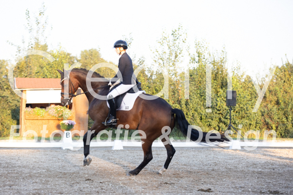 IMG_1786 | Creatify Fotografie