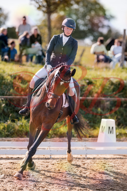 2026_10_03_Siefer-Hof_125450_Z81_43116452 | Professionelle Reitsport-, Turnier- und Eventfotografie von Robert Broda. Galerien mit ausgewählten und bearbeiteten Bildern direkt online ansehen und bestellen.