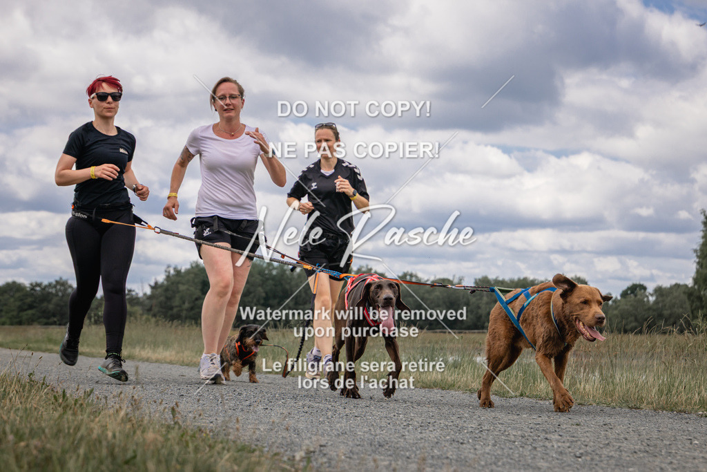 nelerasche_BuHu2026_SaCC1100-1200_235 | nelerasche