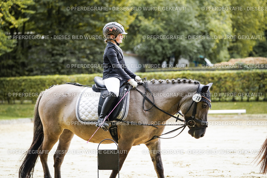 DSC05110 | Pferdegrafie