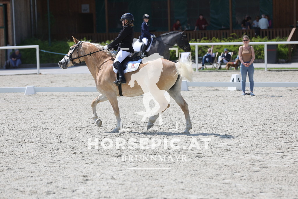 0P6A2095 | Willkommen bei Brunnmayr - Design & Fotografie – Ihrem Spezialisten für Reitturniere und Pferdeveranstaltungen in Oberösterreich, Salzburg und Bayern! Seit über 17 Jahren sind wir leidenschaftlich dabei.