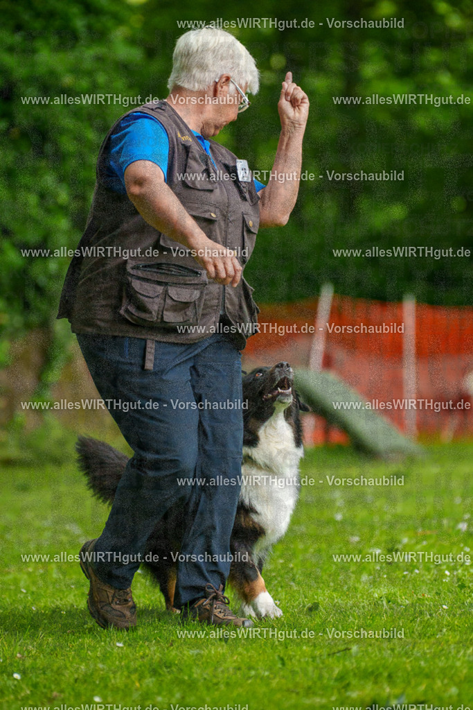 @allesWIRTHgut_Tierfotografie - www.allesWIRTHgut.de - 091317-7R506740 | Professionelle Tierfotografie in Mönchengladbach von Daniel Wirth (allesWIRTHgut). Liebevolle & natürliche Bilder von Hunden & Katzen für unvergessliche Erinnerungen.