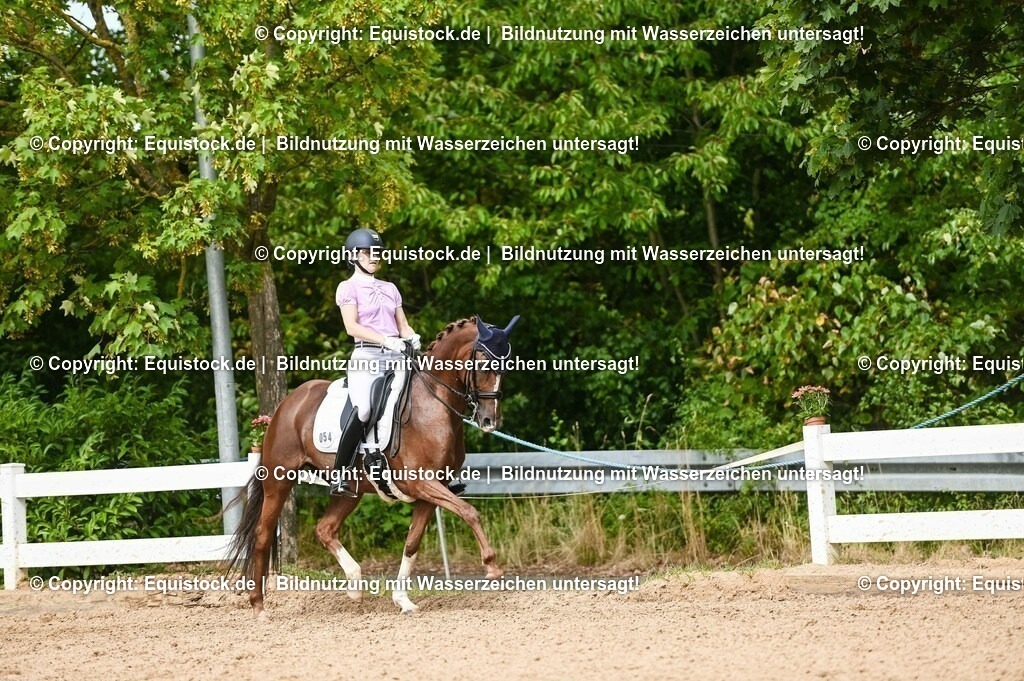 20230716_01_Dressurprüfung Kl.M_0378 | equistock