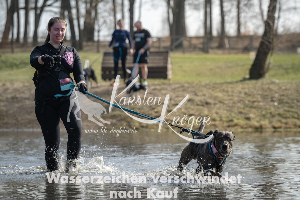 1238_ZZ91284 | kk-dogfotos