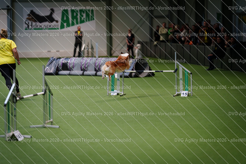 allesWIRTHgut_Tierfotografie-DVG_Agility_Masters_2026-08_13-7R509865 | Professionelle Tierfotografie in Mönchengladbach von Daniel Wirth (allesWIRTHgut). Liebevolle & natürliche Bilder von Hunden & Katzen für unvergessliche Erinnerungen.