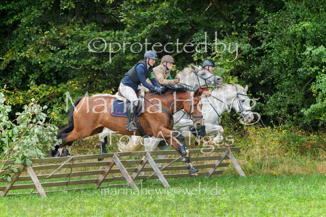 Jagd Perdoel_MarinaHewigMCH04465 | Fotografie, FotoArt, PferdesportArt, Pferdesportfotografie, Landschaftsfotografie, Reisefotografie, Reise, Pferde - Realisiert mit Pictrs.com