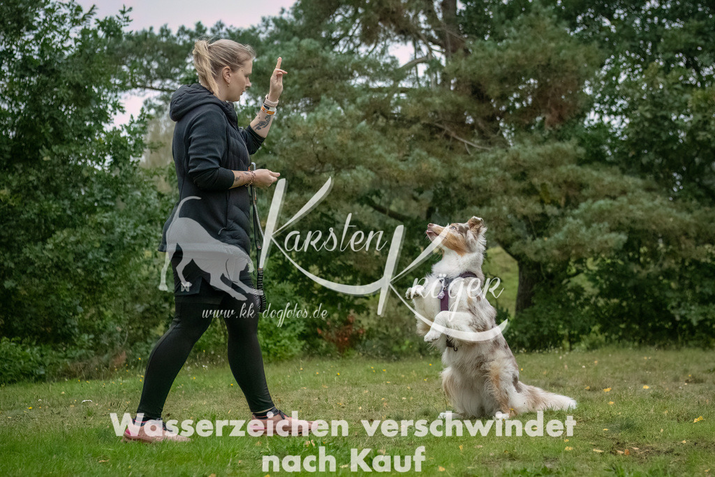 0925_ZZ90348-Bearbeitet | kk-dogfotos