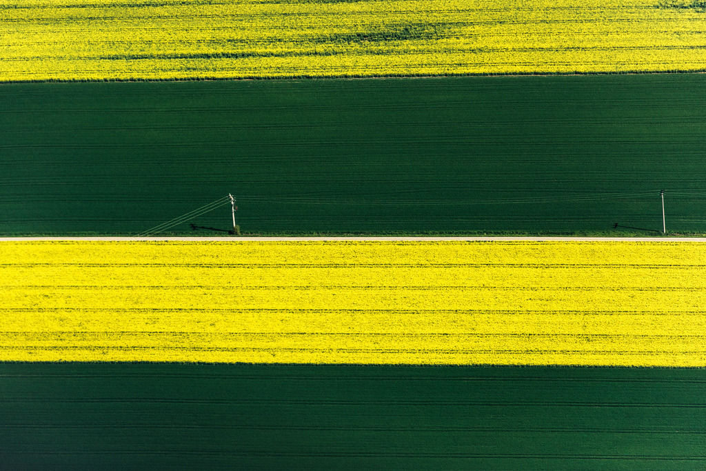 dr__0011599.jpg | GREDING 10.05.2017 Feld- Landschaft gelb blühender Raps- Blüten in Greding im Bundesland Bayern, Deutschland. // Field landscape yellow flowering rapeseed flowers in Greding in the state Bavaria, Germany. Foto: Daniel Reiter