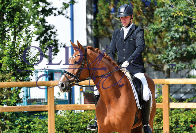 12 Sorbonne DE330173218 HE-Rpf Secret - His Highness_a | <meta name="description" content="★Offizieller Merchandise und Foto-/Videostore des Oldenburger Verbandes.★ ✅Jetzt auch digital Ausdrucke erhältlich." />
<meta name="keywords" content="Merchandise Foto-/Videostore Oldenburger Verband Photographie 