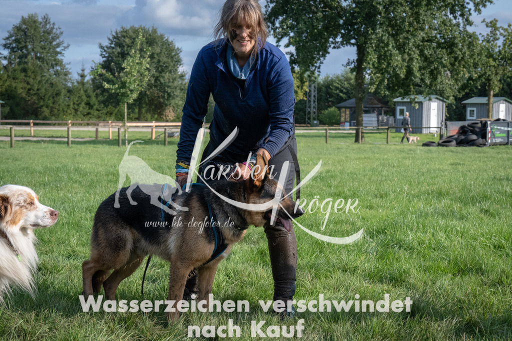 1642_ZZ92846 | kk-dogfotos