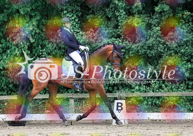 20250727_Dressurpferdeprfg_Kl.L-78 | JS-Photostyle - Sport-/Portrait- & Eventfotografie