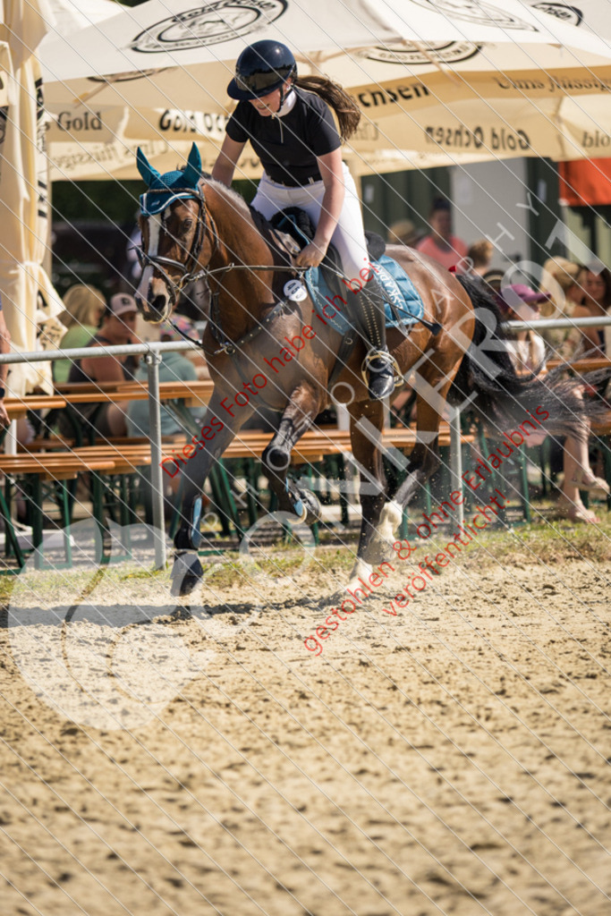 IMG_3472 | Sport-, Event- und Tierfotos in Profiqualität. Einfach auswählen, bestellen und herunterladen. Dein Moment – perfekt festgehalten.