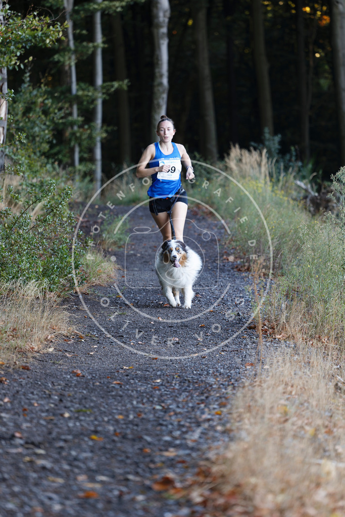 0L8A1846 | Hundefotografie, Tierfotograf, Pfotenfotografie, Fotoshooting Hund, Hunde Portrait, Hundesport, Hundeportraits, Heideshooting, Hunde, Sportfotograf, Hundefotograf, Turnierhundsport, THS,  - Realisiert mit Pictrs.com
