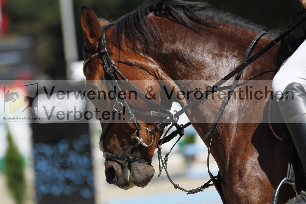 _MG_4783 | equestrian-live-com