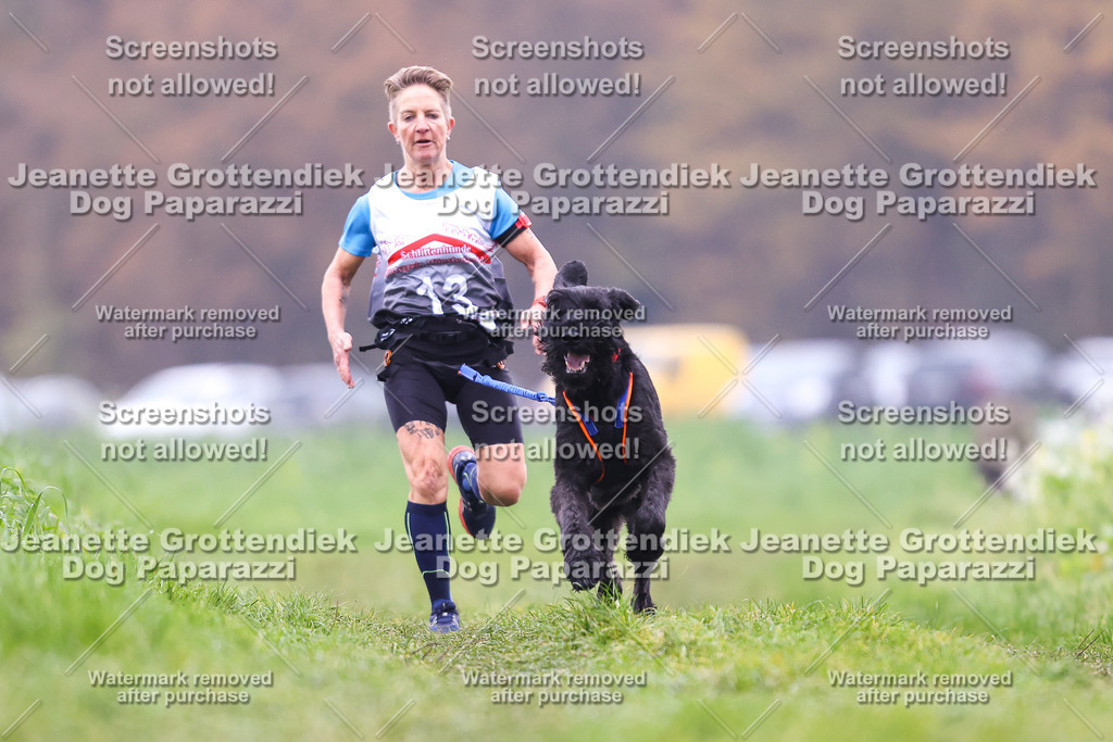 Dog Paparazzi - Visbeck 25 -818 | Dog Paparazzi Jeanette Grottendiek Fotografie & Videografie - Realisiert mit Pictrs.com