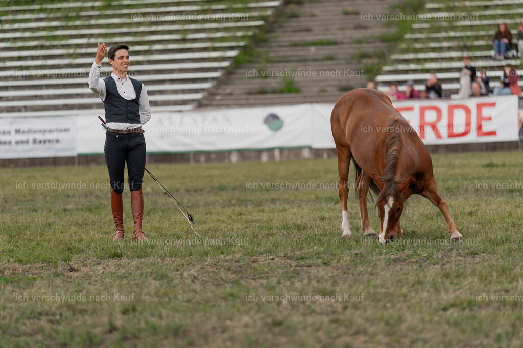 Showprogramm-419 | working equitationturnier fotograf videograf stoibphotography marixx film working equitation deutschland reitsport turnierfotografie eventfotografie equestrian events