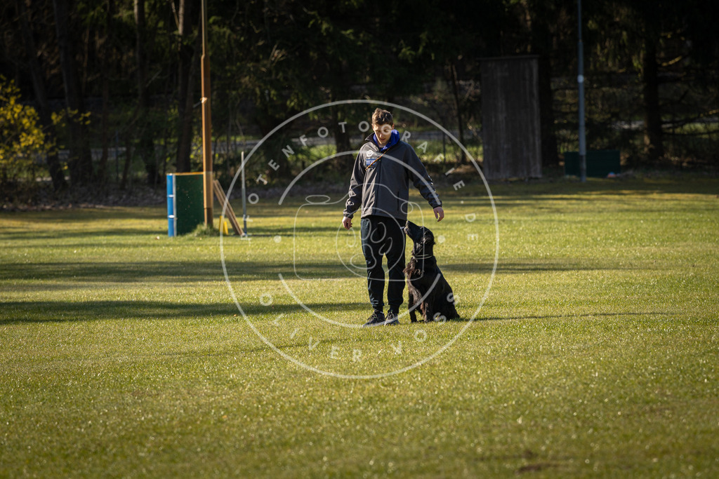 Pfotenfotografie_DV3A0155 | Hundefotografie, Tierfotograf, Pfotenfotografie, Fotoshooting Hund, Hunde Portrait, Hundesport, Hundeportraits, Heideshooting, Hunde, Sportfotograf, Hundefotograf, Turnierhundsport, THS,  - Realisiert mit Pictrs.com