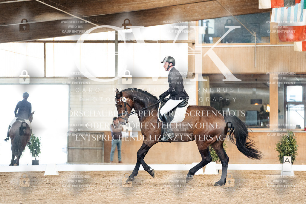 CK901286 | Turnierfotografie Pferdefotografie Trier Rheinland-Pfalz Pferdesport Reitsport Tierfotografie Sportfotografie Pferdevideo Pferdevideografie Equestrianvideography equestrianphotography  - Realisiert mit Pictrs.com