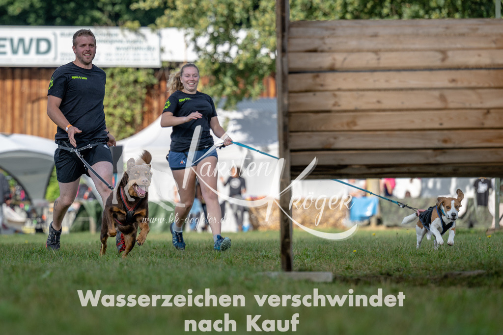 1029_ZZ92436 | kk-dogfotos