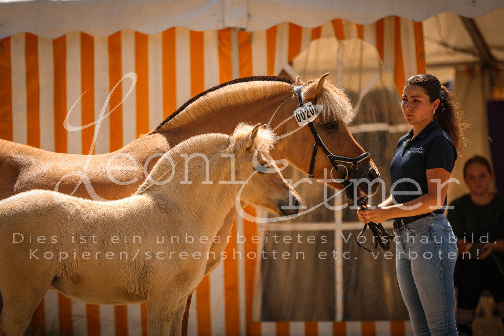 05.DoF00009 | Leoni Ertmer Photography - Realisiert mit Pictrs.com