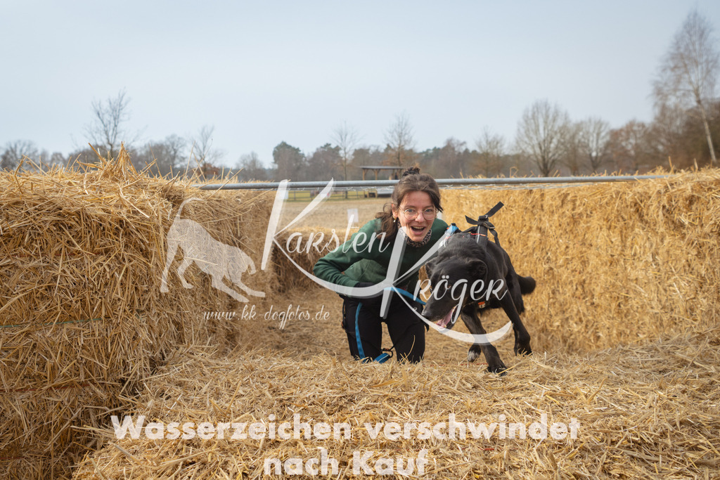 1019_ZZ93978 | kk-dogfotos