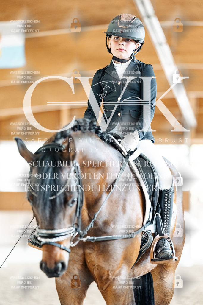 CK901730 | Turnierfotografie Pferdefotografie Trier Rheinland-Pfalz Pferdesport Reitsport Tierfotografie Sportfotografie Pferdevideo Pferdevideografie Equestrianvideography equestrianphotography  - Realisiert mit Pictrs.com