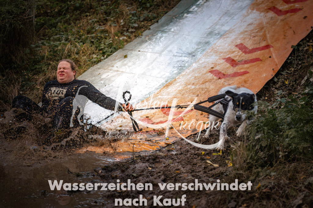 0814_ZZ90247 | kk-dogfotos