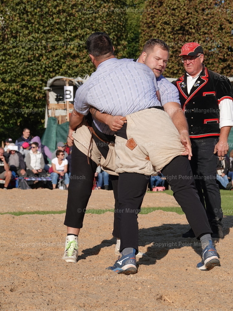 DSC05553 | Schwingen - Realisiert mit Pictrs.com
