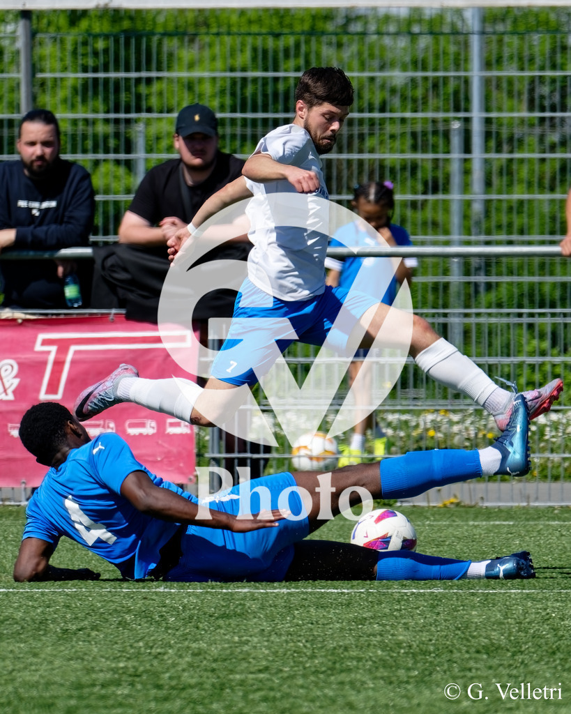 DSC_3910 | Velletri Photo