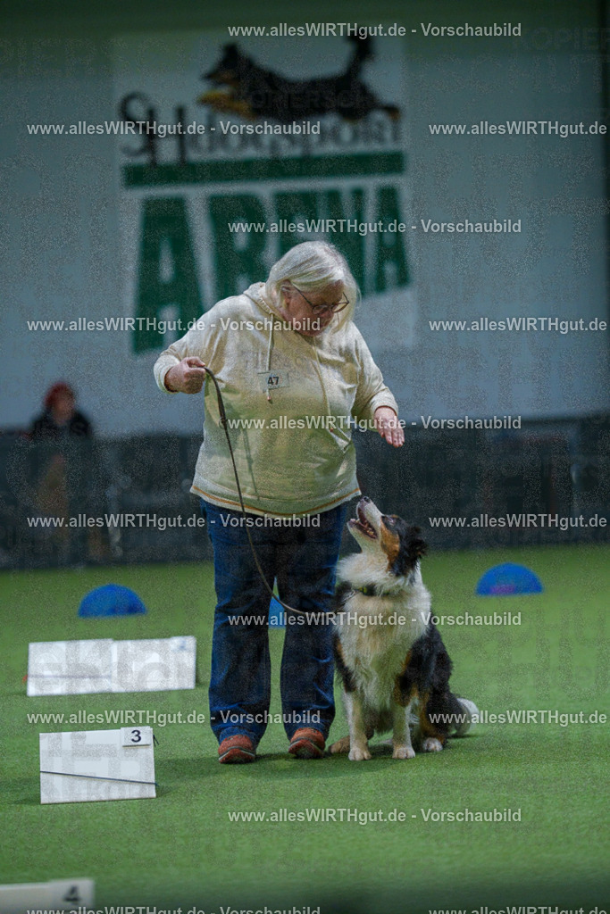 7R501431 | Professionelle Tierfotografie in Mönchengladbach von Daniel Wirth (allesWIRTHgut). Liebevolle & natürliche Bilder von Hunden & Katzen für unvergessliche Erinnerungen.