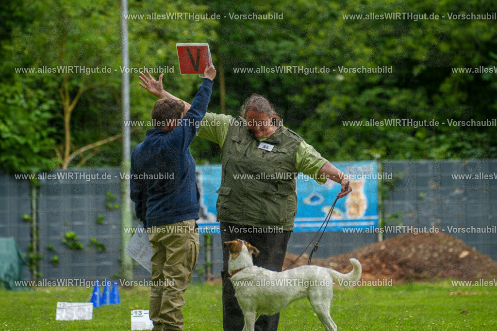 @allesWIRTHgut_Tierfotografie - www.allesWIRTHgut.de - 123249-7R509085 | Professionelle Tierfotografie in Mönchengladbach von Daniel Wirth (allesWIRTHgut). Liebevolle & natürliche Bilder von Hunden & Katzen für unvergessliche Erinnerungen.